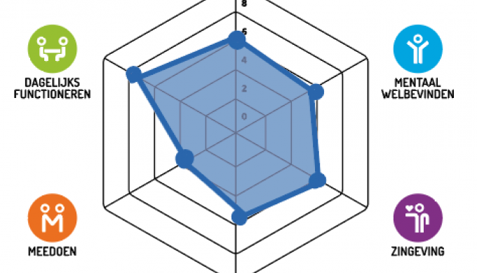 Ingevuld spinneweb